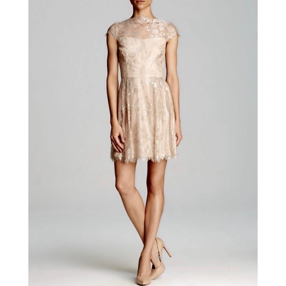 Cynthia Steffe Beige Lace Dress